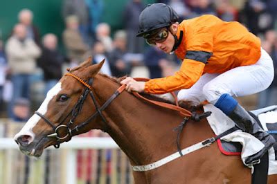 voyeusesur turf|CPLEMAIRE : ANNUAIRE HIPPIQUE DE REFERENCE .
